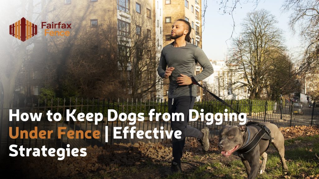 How to Keep Dogs from Digging Under Fence | Effective Strategies