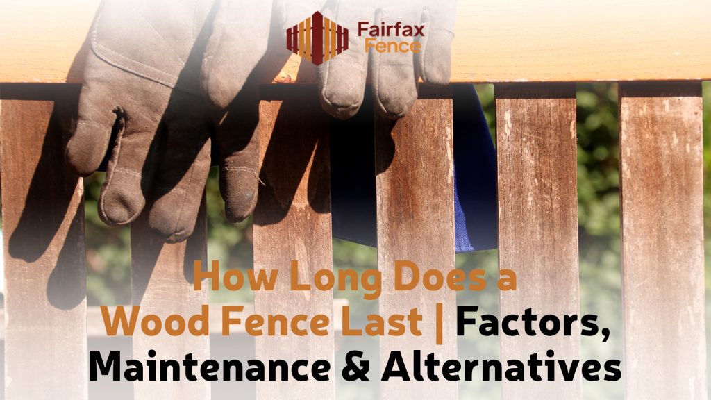 How Long Does a Wood Fence Last | Factors, Maintenance & Alternatives