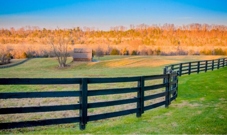 Virginia Fence Laws: Everything You Should Know About Fence Laws in Virginia