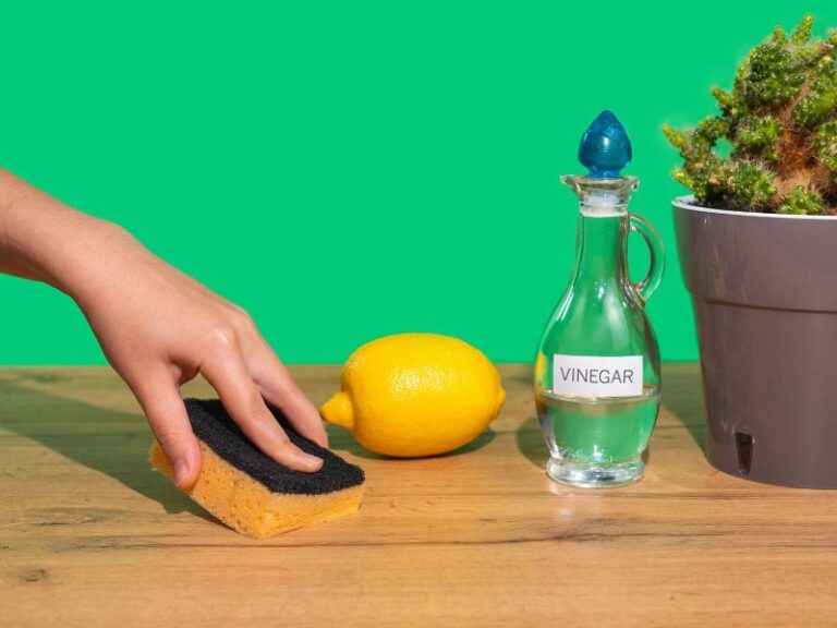 Vinegar Solution